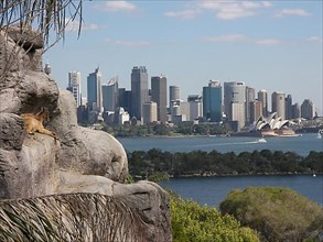 View from Taronga Zoo of the Sydney skyline with the Opera House, Australia -