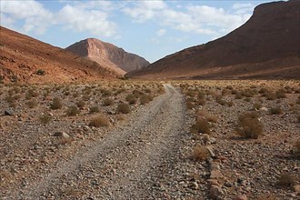 Lonely track in a wadi in the Antiatlas near Ait Herbil, Morocco