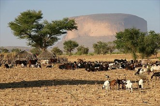 Hombori Tondo, the highest mountain in Mali
