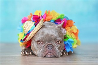 Cute French Bulldog dog with tropical flower garlands and summer straw hat,