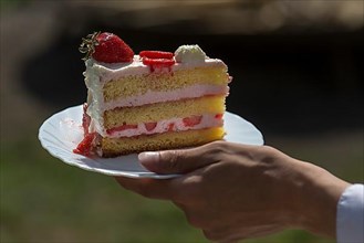 A piece of strawberry cake on a plate, Bavaria