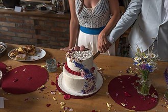 Cutting of a wedding cake, Mecklenburg-Western Pomerania