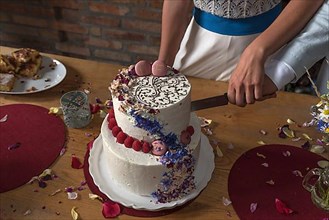 Cutting of a wedding cake, Mecklenburg-Western Pomerania