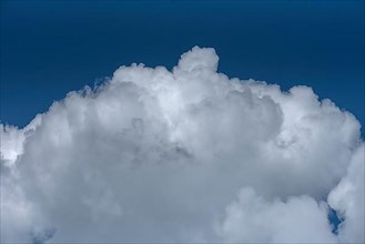 Cumulus cloud,