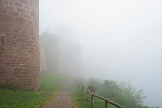 Castle Henneburg in the morning mist, Stadtprozelten