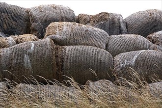 Old straw bales stacked on top of each other near the village of Ruhlsdorf, city of Teltow