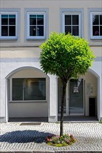 Facade and pavement with flowers and ornamental trees, Nesselwang