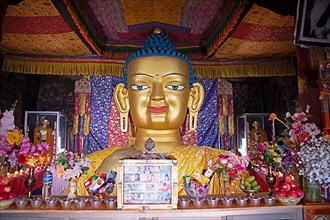 Maitreya Buddha, Shey Palace