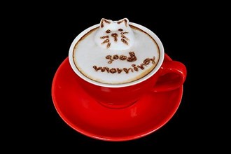 Coffee Mug Cappuccino Lettering good morning 3D Cat,