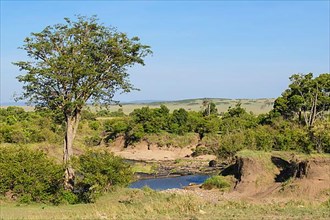 Masai Mara landscape with River, Masai Mara National Reserve