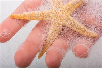 Hand holding starfish in water covered with foam,