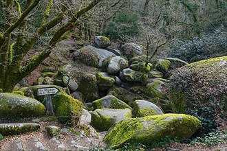 Rock formations Le Menage de la Vierge, Huelgoat forest