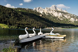 Pedal boats as swans, Haldensee