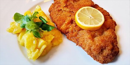 Delicious golden-brown fried Wiener Schnitzel with potato salad and a slice of lemon on a white plate,