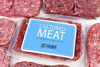 Lab grown cultured meat concept for artificial in vitro cell culture meat production with packed raw meat with made up blue label,