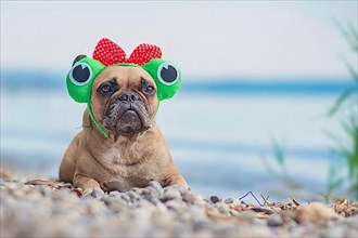 French Bulldog dog wearing funny frog costume headband with ribbon and big eyes lying in front of lake,