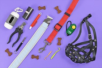 Flat lay of various dog supplies including leather mouth guard, nail clipper
