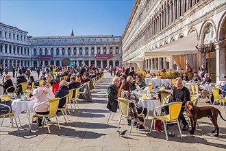 St. Mark's Square with street cafes and procuratories, Venice