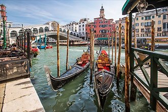 Gondolas on the Grand Canal with the Rialto Bridge, Venice