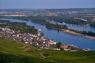 View of Ruedesheim on the Rhine, Rheingau