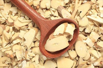 Cut twigs of the medicinal plant white mulberry,