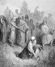 Ruth in Boaz's field, Boaz is a biblical figure who appears in the Book of Ruth in the Hebrew Bible