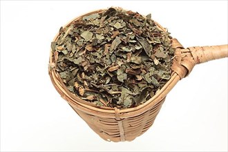 Dried herb of the medicinal plant asarabacca,