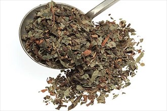 Dried herb of the medicinal plant asarabacca,