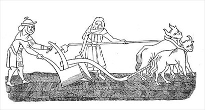 Cultivated state in the 12th century, field work ploughing with an ox team