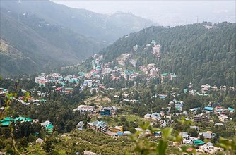 Mountain village Dharamkot, near Dharamsala
