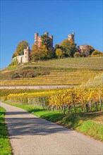 Ortenberg Castle in autumn, Offenburg