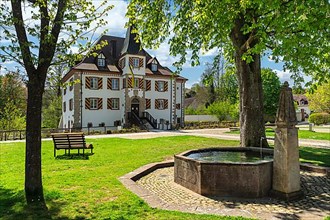 Entenstein moated castle,