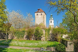Schurkenturm on the Obere Feste with castle garden, Horb am Neckar