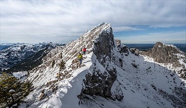 Two mountaineers on a narrow snowy rocky ridge, Fensterl on the hiking trail to Ammergauer Hochplatte
