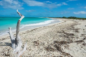 White sand beach in turquoise waters, Dry Tortugas National Park