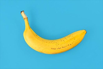 Single ripe banana with peel on blue background,