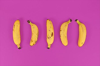 Five small snack bananas in a row on bright purple background,
