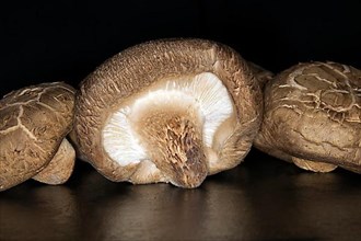 Shiitake mushrooms, food photography with black background
