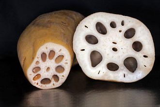 Sliced lotus root, food photography with black background