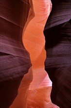 Antelope Canyon as an aubergine background,