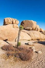 Beautiful rock formations, Joshua Tree National Park