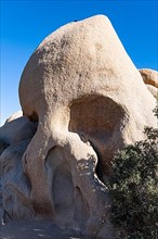 Skull rock formation, Joshua Tree National Park