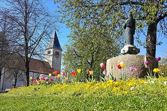St. Michael's Church and the war memorial in the centre of Peiting. Tulips in the foreground. Bavaria, Germany