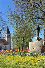 St. Michael's Church and the war memorial in the centre of Peiting. Tulips in the foreground. Bavaria, Germany