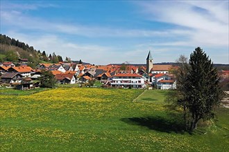 Aerial view of Peiting with the church of St. Michael, Bavaria