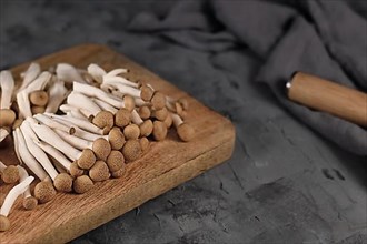 Brown edible mushrooms native to East Asia called Buna Shimeji on wooden cutting board,