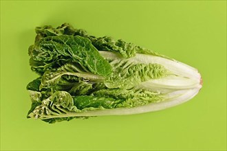 Romaine lettuce vegetable on green background,