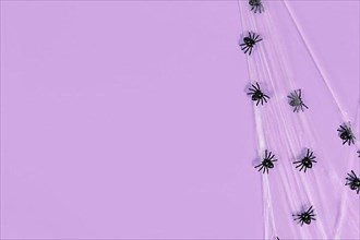 Spider webs and plastic spiders on side of violet Halloween background with copy space,