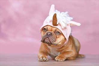 Red French Bulldog dog with wearing a funny knitted pink unicorn hat costume in front of pink background,