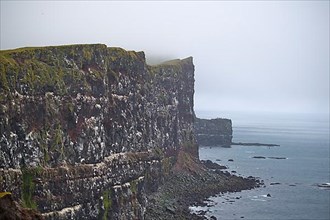 Large bird cliffs, Latrabjarg
